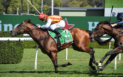 bondi stakes odds